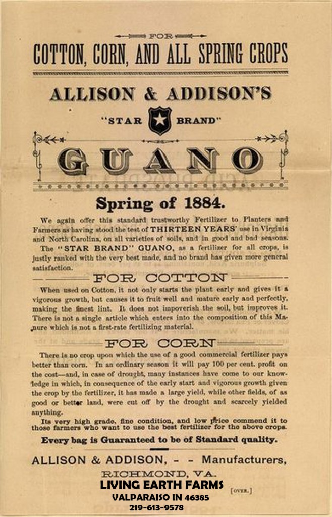 385px Guano advertisement 1884 copy 658x1024 Organic Soil Foods