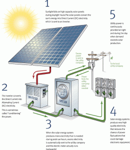 SOLAR POWER SYSTEM 260x300 SOLAR POWER GENERATION AT LIVING EARTH FARMS